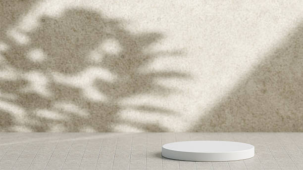 istock Beige Background with Round Podium and Plant Shadow 2216790748