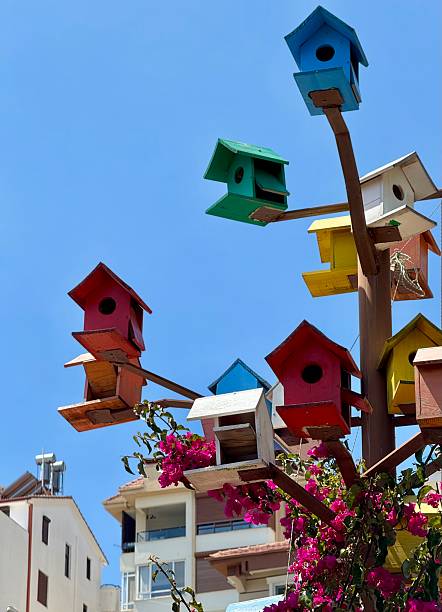 istock Coloured birdhouses 2216791063