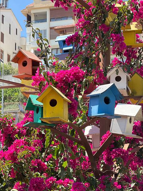 Vibrant, colorful birdhouses are mounted on a tree trunk, adding charm and life to the outdoor setting. Bright decor for birds and gardens