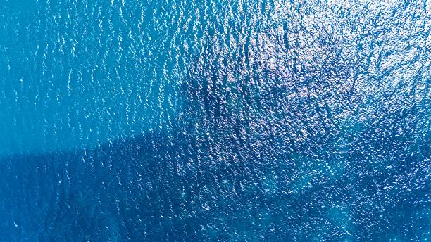 istock Aerial View of Shimmering Ocean Waves 2216793502