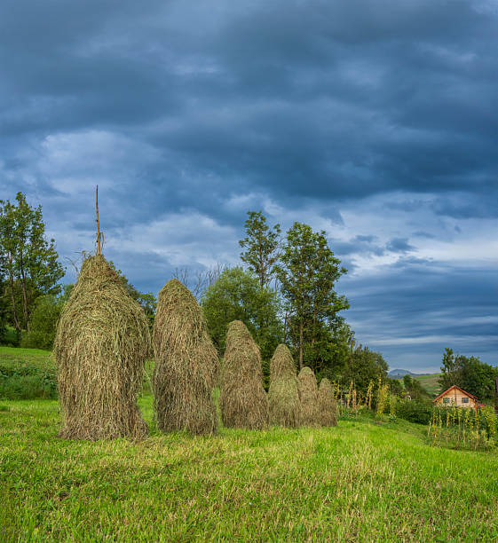 Scenic Carpathian countryside with traditional haystacks, cozy village houses, rolling green hills, and dramatic storm clouds. Tranquil rural landscape before the rain.