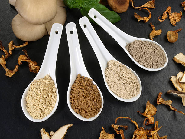 istock Medicinal Mushrooms - Healthy Nutrition 2216798572