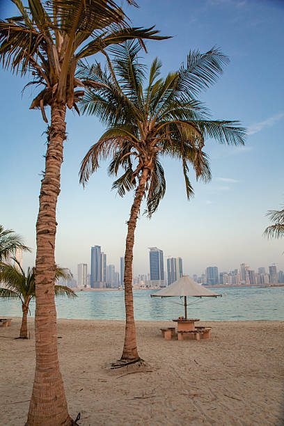 istock Sandy Beach, Sea and The City 2216808876