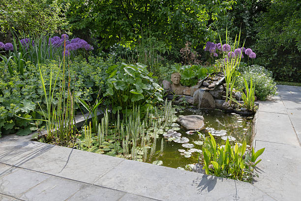 istock Idyllic terrace pond with plants and statue 2216810321