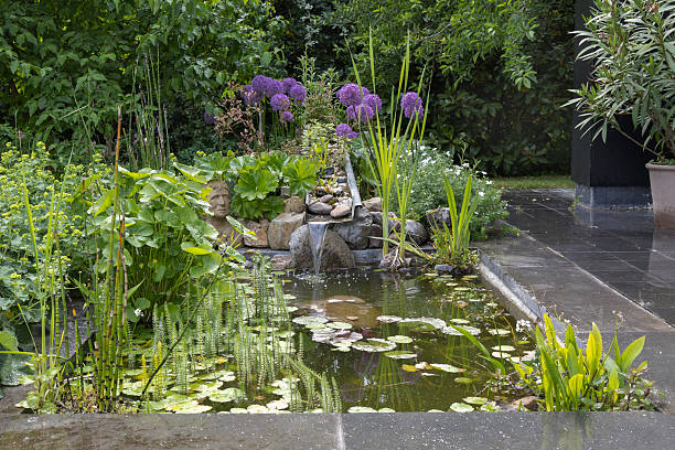 istock Idyllic terrace pond with plants and statue 2216810322