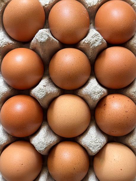 Egg carton from above