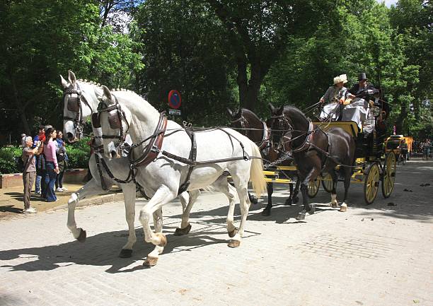 Unusual horse-drawn carriages at a carriage demonstration in Seville in May 2025
