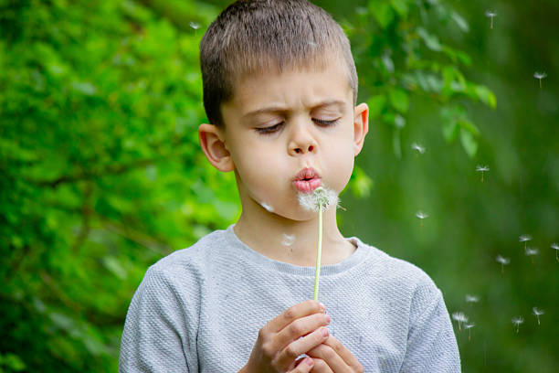 istock Boy blowing on a dandelion. Allergy. 2216815796