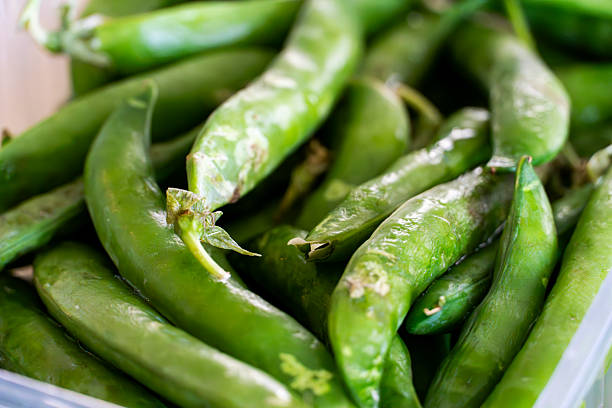 Pea Pods in Old-Fashioned Wicker Basket (Close-Up)