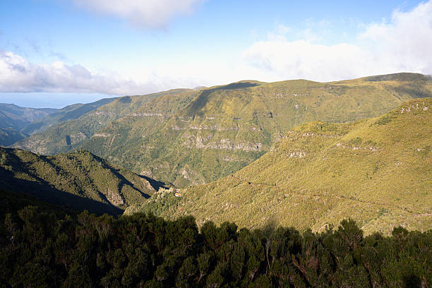 Exotic island travel destinations. Madeira paradise landscape. Lush green mountain valley with soft sunlight streaming on. Essence of nature beauty and serenity