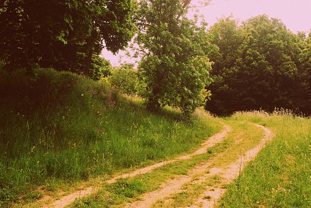 Wain path making furrows on the hilly land country village