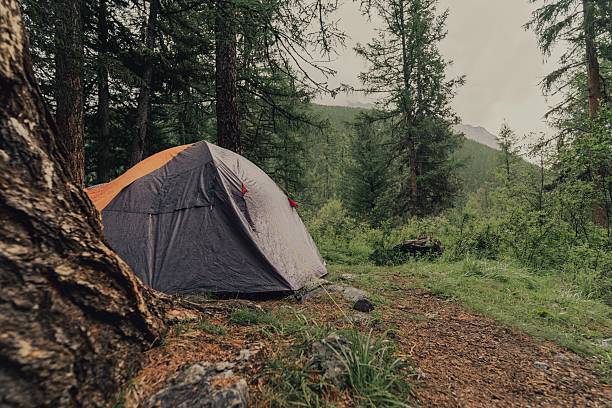 istock camping tent in the deep forest 2216839242