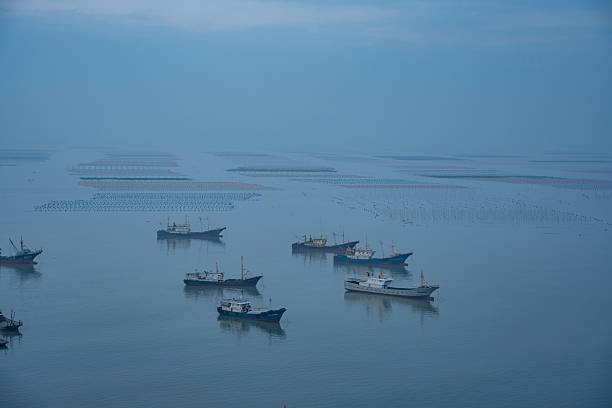 istock Fishing Boats on Calm Waters at Dusk 2216842739