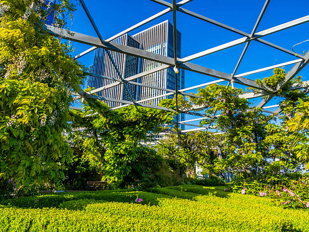 istock Rooftop garden oasis with lush greenery and modern skyscraper view 2216844029