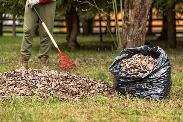 istock Raking fallen leaves with rakes. 2216852619