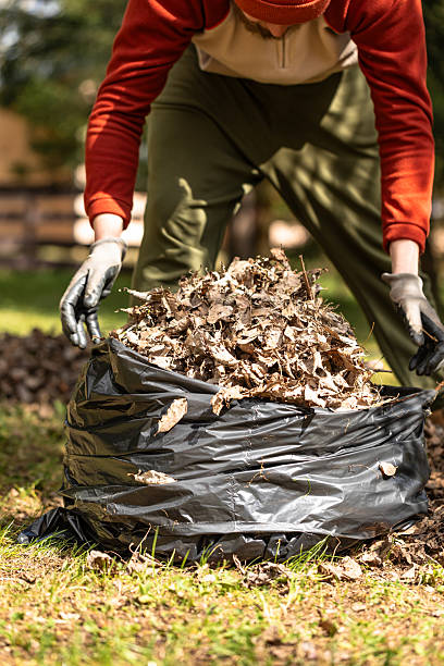 istock Raking fallen leaves with rakes. 2216852681