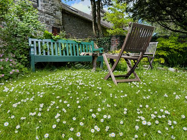 A quiet spring garden filled with blooming daisies and rustic benches in an English countryside setting
