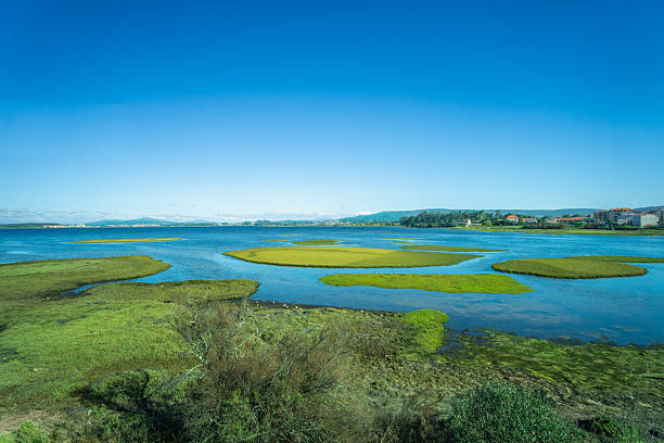 istock Intertidal Complex Umia O Grove Galicia Spain. 2216853939