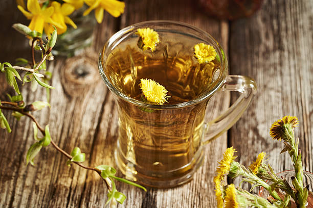istock Coltsfoot or Tussilago tea with fresh flowers 2216855967