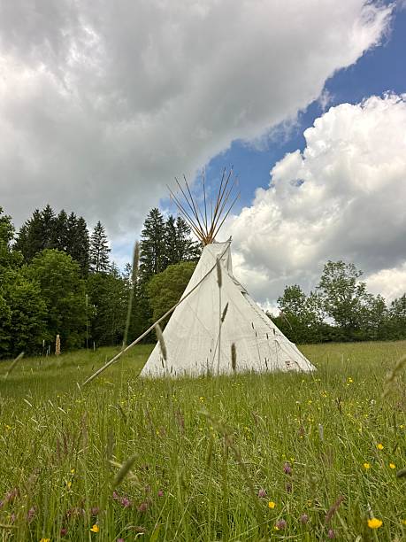 istock Teepee is in a field of grass 2216861481