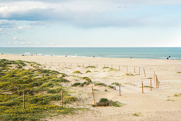 istock Large sandy beach with dunes in Puerto de Sagunto 2216863519