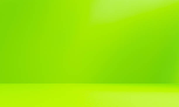 istock Empty green room studio with sunlight effect shadow of leaves. Minimal background for product presentation. 2216865619