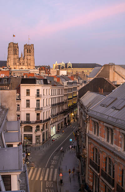 istock Rooftop Views of Brussels 2216869027