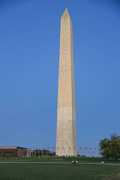istock Standing Tall Against Blue Skies 2216878214