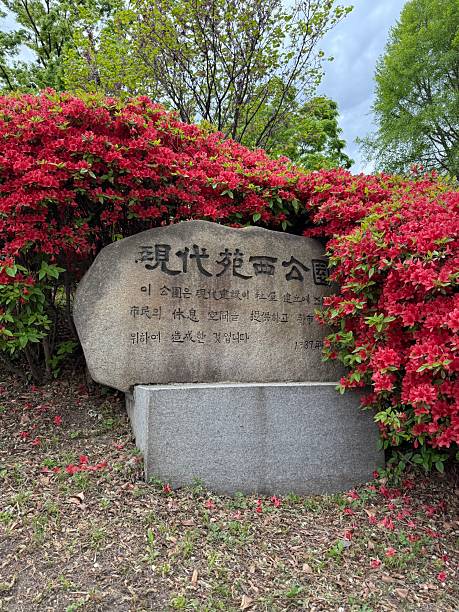 istock South Korea, Seoul City 2216884483