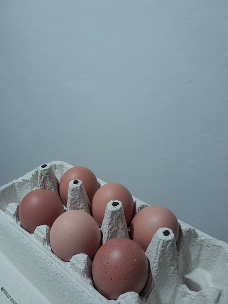 Fresh eggs in a egg box. Brown eggs with blank space.