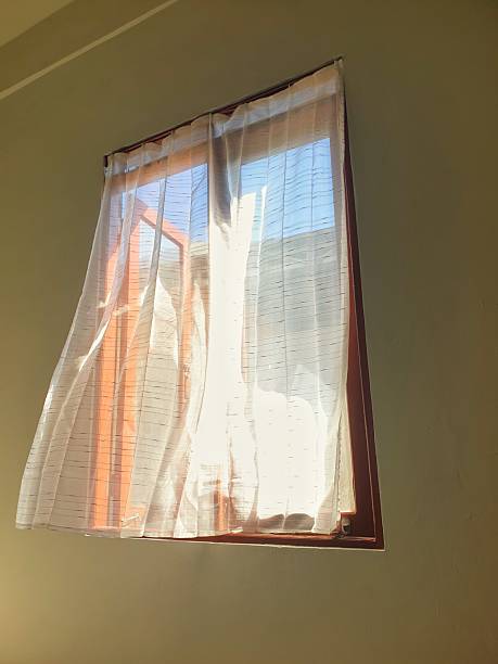 istock Sunlight enters softly through an open window as sheer curtains move gently with the morning breeze, creating a calm indoor atmosphere 2216891281