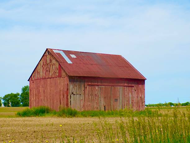 old barn doors with paint chipping off.