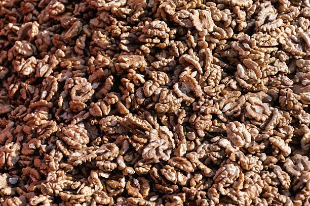 Close-up view of whole walnuts and walnut kernels arranged on a white textured plate, highlighting natural texture, healthy food concept and minimalist still life composition.