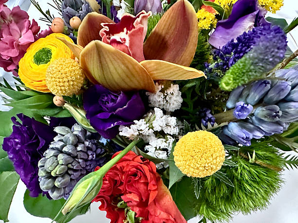 EXCU bouquet of colorful summer flowers