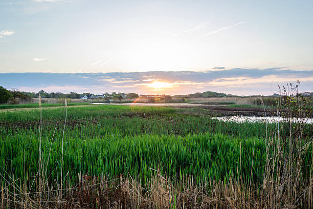 istock Cape May Meadows, NJ, Nature Center sunrise in May 2216912754