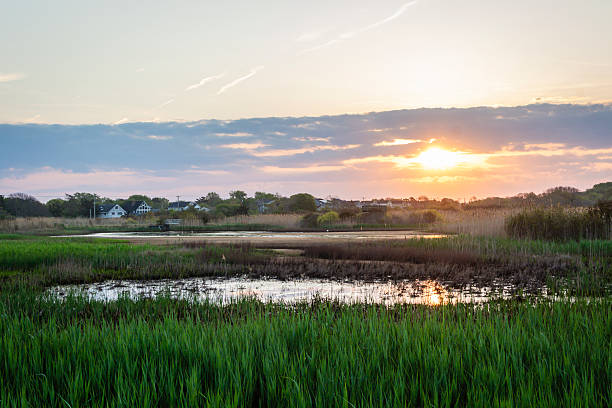 istock Cape May Meadows, NJ, Nature Center sunrise in May 2216912758