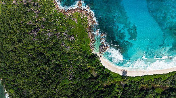 istock Rocky shore blending into white sand beach and clear water. La Digue, Seychelles. 2216914414