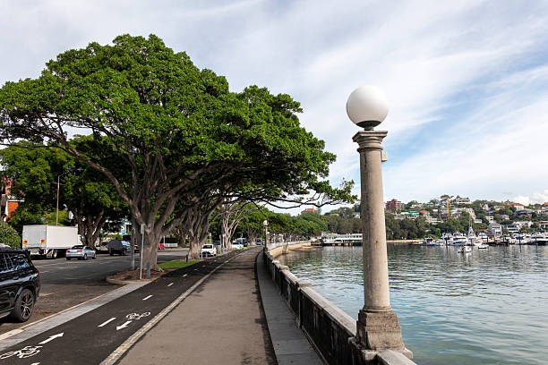istock Rose Bay waterfront, Sydney, Australia 2216917311