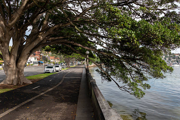 istock Rose Bay waterfront, Sydney, Australia 2216917326