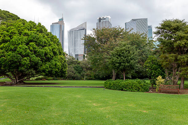 istock Central Business District in Sydney, Australia 2216917596