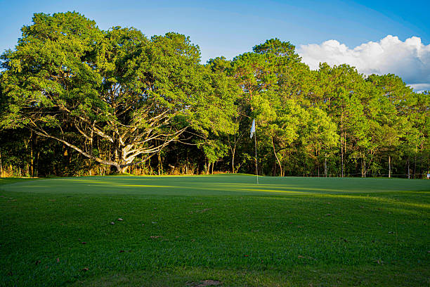 Views of the TPC golf course at Prestancia in Sarasota Florida.  This course is very similar to other golf communities throughout Florida with ponds and residential housing surrounding the fairways.