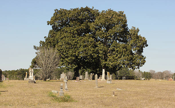 istock Historic Elkins Cemetery In Omen Texas 2216925706