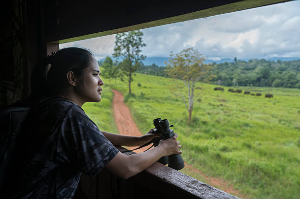 istock Female birdwatching/hiking  in nature concept. birdwatching  from the Hide 2216926404