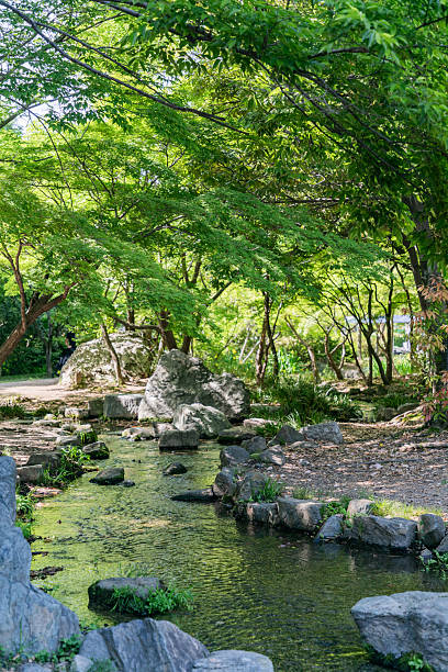 istock Scenery in the forest in summer 2216927504