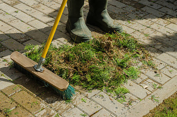 istock Gardener using broom to clear grass clippings from stone pathway with sunlight shining 2216928506