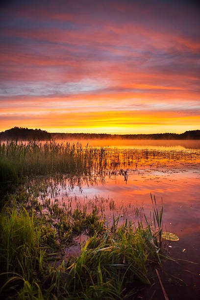 istock Summer sunrise over lake in Poland 2216930341