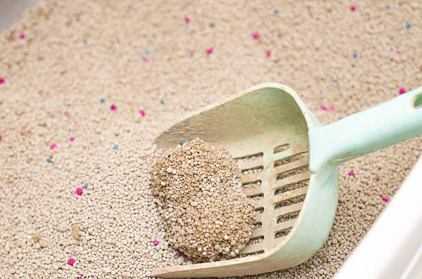 istock Cat litter box with a scoop  isolated 2216932196