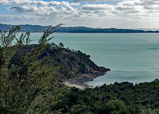 istock A cove looking out into the Hauraki Gulf 2216936081