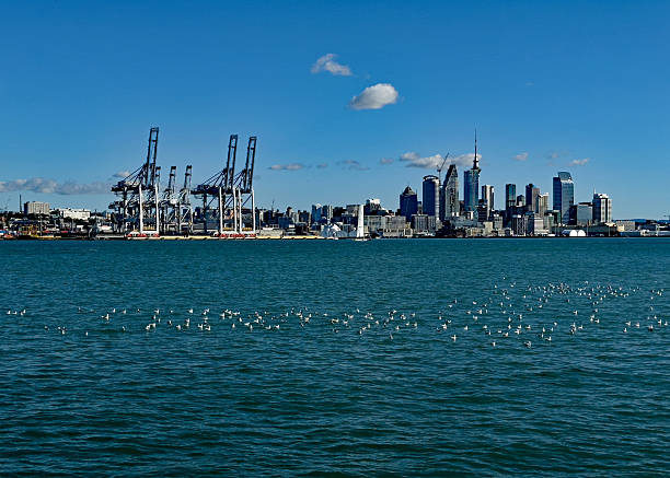 Auckland City and Cranes