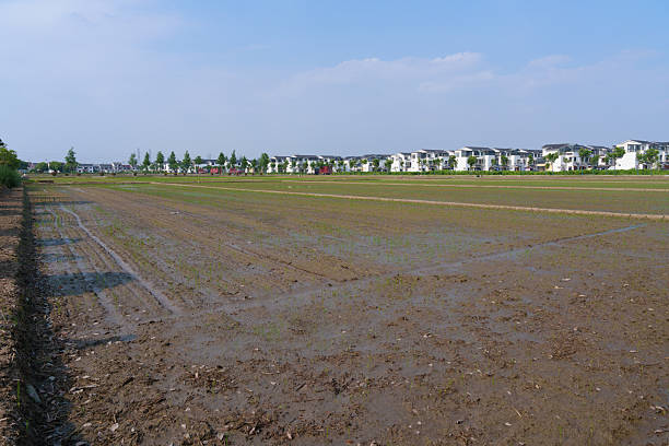 Rural countryside and modern houses under the blue sky